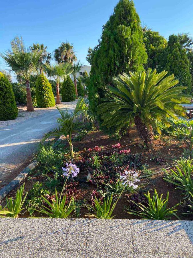 Cocoon Luxury Villa In Coral Bay-3 Min To Beach Πέγεια Εξωτερικό φωτογραφία
